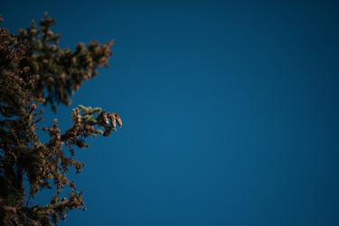 Similar image 22301028