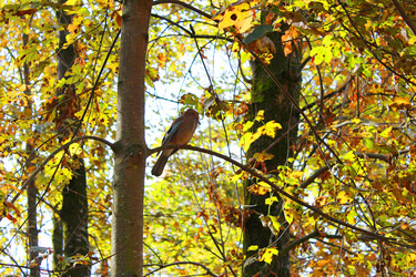 Similar image 22314820