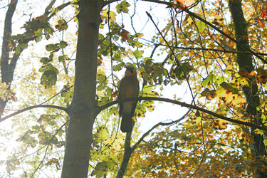 Similar image 22298133