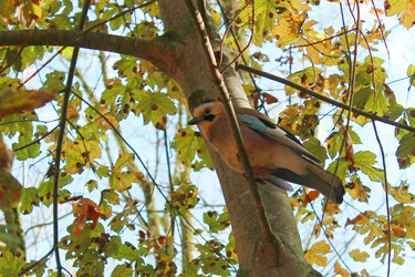 Similar image 22298134