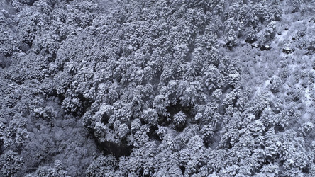 Similar image 22330998