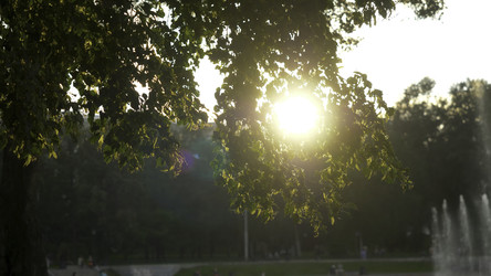 Similar image 22331004