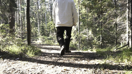 Similar image 22331006