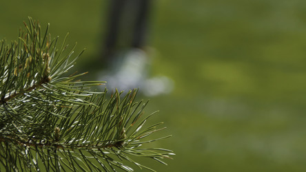 Similar image 22331508