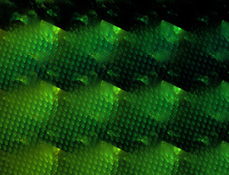 Similar image 22320473