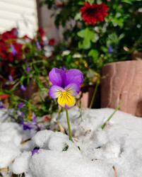 Similar image 22311390