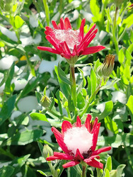 Similar image 22311391