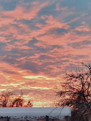 Similar image 22311406