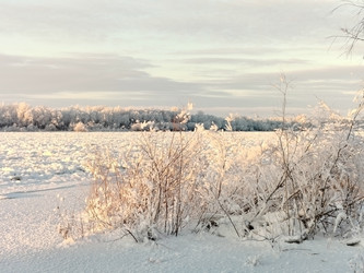 Similar image 22311414