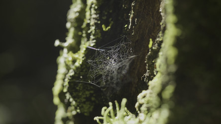 Similar image 22328309