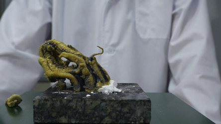 Similar image 22328678