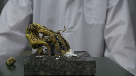 Similar image 22328680