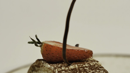 Similar image 22329303