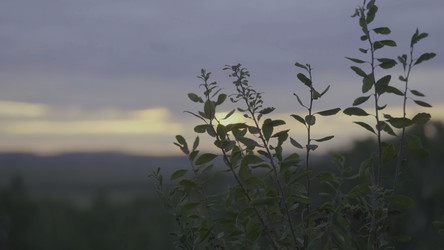 Similar image 22329304