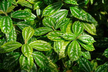 Similar image 22313533