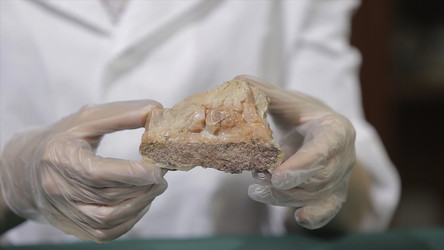 Similar image 22315712