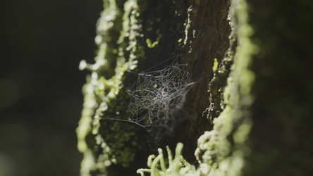 Similar image 22315714