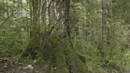 Similar image 22315715