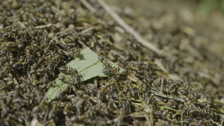 Similar image 22315722