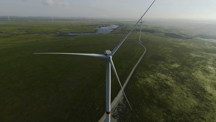 Similar image 22316019