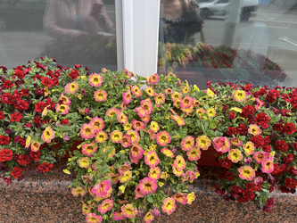 Similar image 22301368