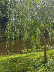 Similar image 22301373