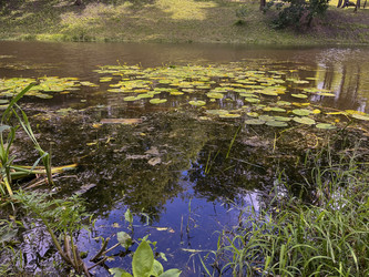 Similar image 22301375