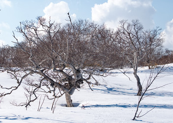 Similar image 22301400