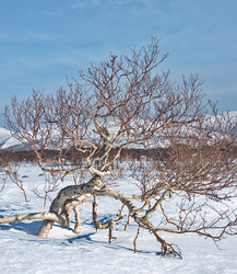 Similar image 22301402