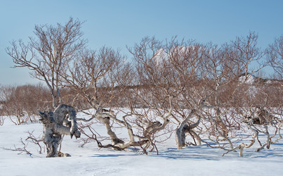 Similar image 22301403