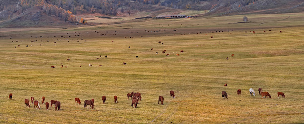 Similar image 22301404