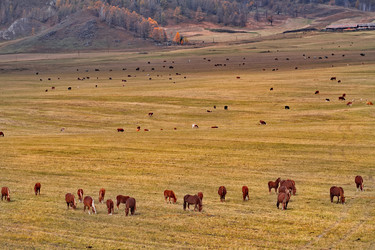 Similar image 22301405