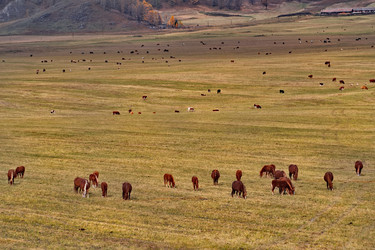 Similar image 22301407