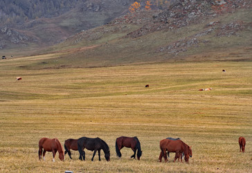 Similar image 22301408