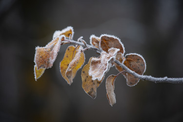 Similar image 22308576