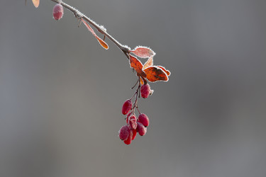 Similar image 22308577