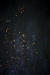 Similar image 22308580