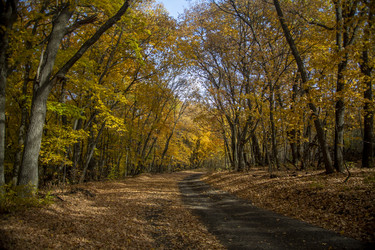 Similar image 22308581