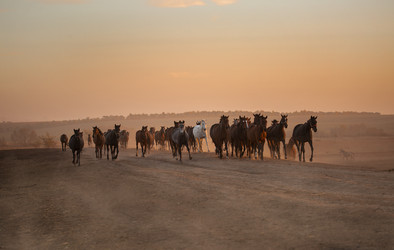 Similar image 22308582