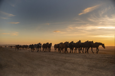 Similar image 22308583