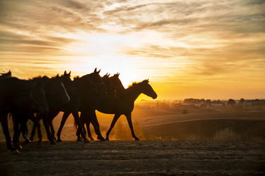 Similar image 22308584