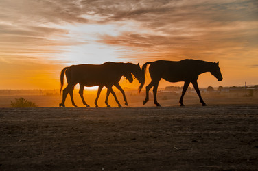 Similar image 22308585