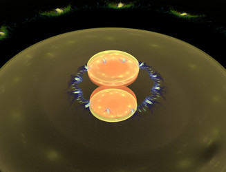 Similar image 22322484