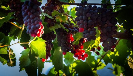 Similar image 22301155