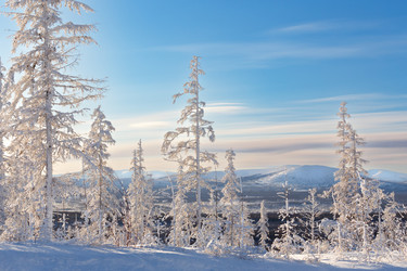 Similar image 22301157