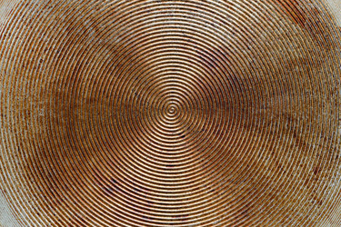 Similar image 22301165