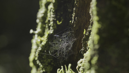 Similar image 22328311