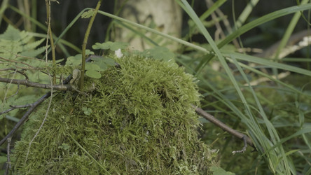 Similar image 22328313