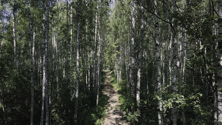 Similar image 22328317