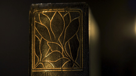 Similar image 22328685